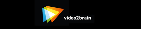 subflash 2011 video2brain